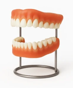 SmileFitPro® – 𝐌𝐞𝐝𝐢𝐜𝐚𝐥𝐅𝐢𝐭 𝐀𝐝𝐚𝐩𝐭𝐢𝐯𝐞 𝐃𝐞𝐧𝐭𝐮𝐫𝐞𝐬