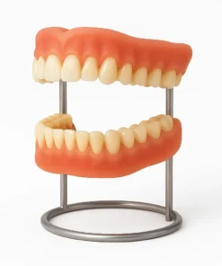 SmileFitPro® – 𝐌𝐞𝐝𝐢𝐜𝐚𝐥𝐅𝐢𝐭 𝐀𝐝𝐚𝐩𝐭𝐢𝐯𝐞 𝐃𝐞𝐧𝐭𝐮𝐫𝐞𝐬